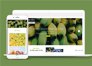 企業(yè)網(wǎng)站案例4