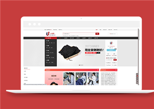 整站網(wǎng)站案例3