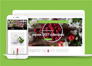 商城網(wǎng)站案例2