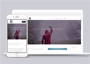 旅游網(wǎng)站案例5