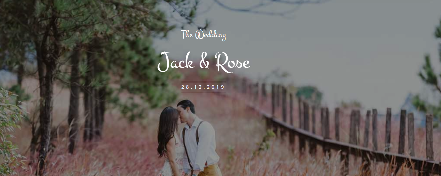 交友網(wǎng)站案例4