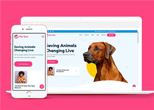 寵物網(wǎng)站案例2