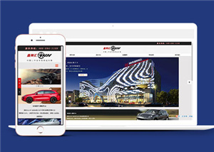 汽車網(wǎng)站案例6