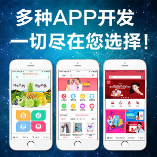 APP開發(fā)