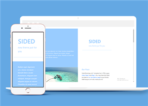 簡歷網(wǎng)站案例3