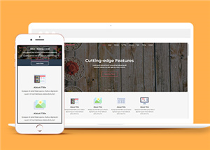 簡歷網(wǎng)站案例4