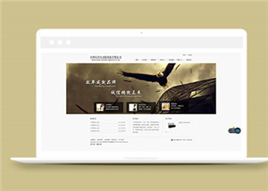 企業(yè)網(wǎng)站建設(shè)案例9