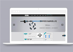 企業(yè)網(wǎng)站建設案例11