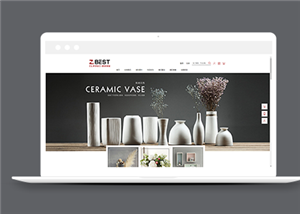 商城網(wǎng)站建設(shè)案例29