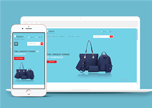 商城網(wǎng)站建設案例35