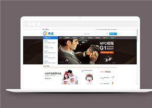 商城網(wǎng)站建設案例41