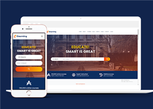 教育網(wǎng)站建設案例24