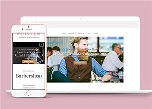 美容網(wǎng)站建設案例13