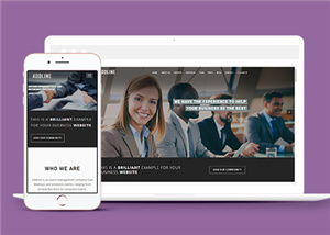 商務(wù)網(wǎng)站建設(shè)案例13