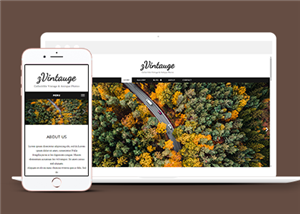 博客網(wǎng)站建設(shè)案例12