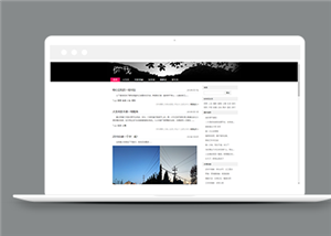 商務(wù)網(wǎng)站建設(shè)案例18