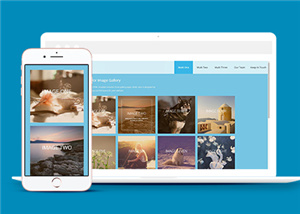 攝影網(wǎng)站建設(shè)案例9