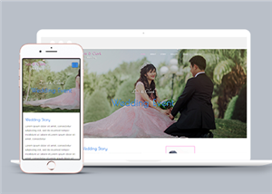 婚嫁網(wǎng)站建設(shè)案例11