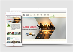 酒店網(wǎng)站建設(shè)案例23