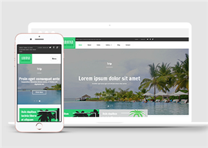 酒店網(wǎng)站建設(shè)案例38