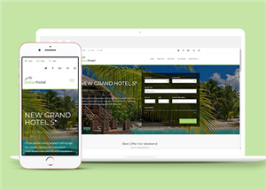 酒店網(wǎng)站建設(shè)案例42