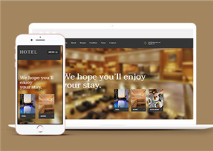 酒店網(wǎng)站建設(shè)案例49