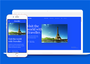 旅游網(wǎng)站建設(shè)案例11
