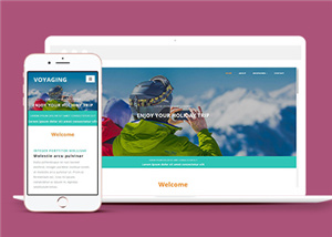 旅游網(wǎng)站建設(shè)案例10