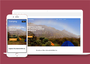 旅游網(wǎng)站建設(shè)案例12