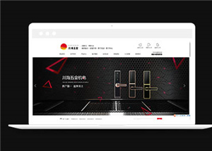 企業(yè)網(wǎng)站建設(shè)案例39