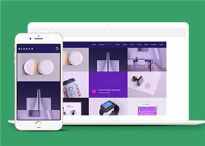 企業(yè)網(wǎng)站建設(shè)案例49