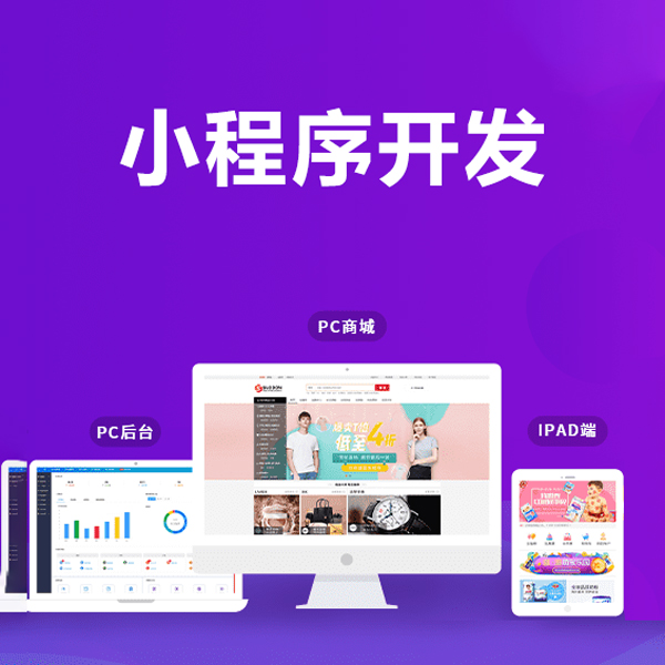 微信小程序開發(fā)  小程序開發(fā)