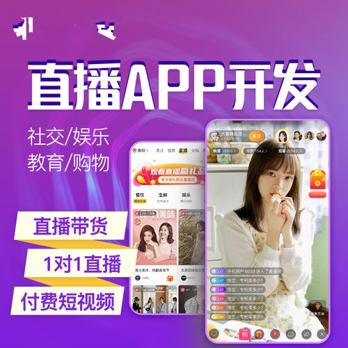 APP開發(fā)