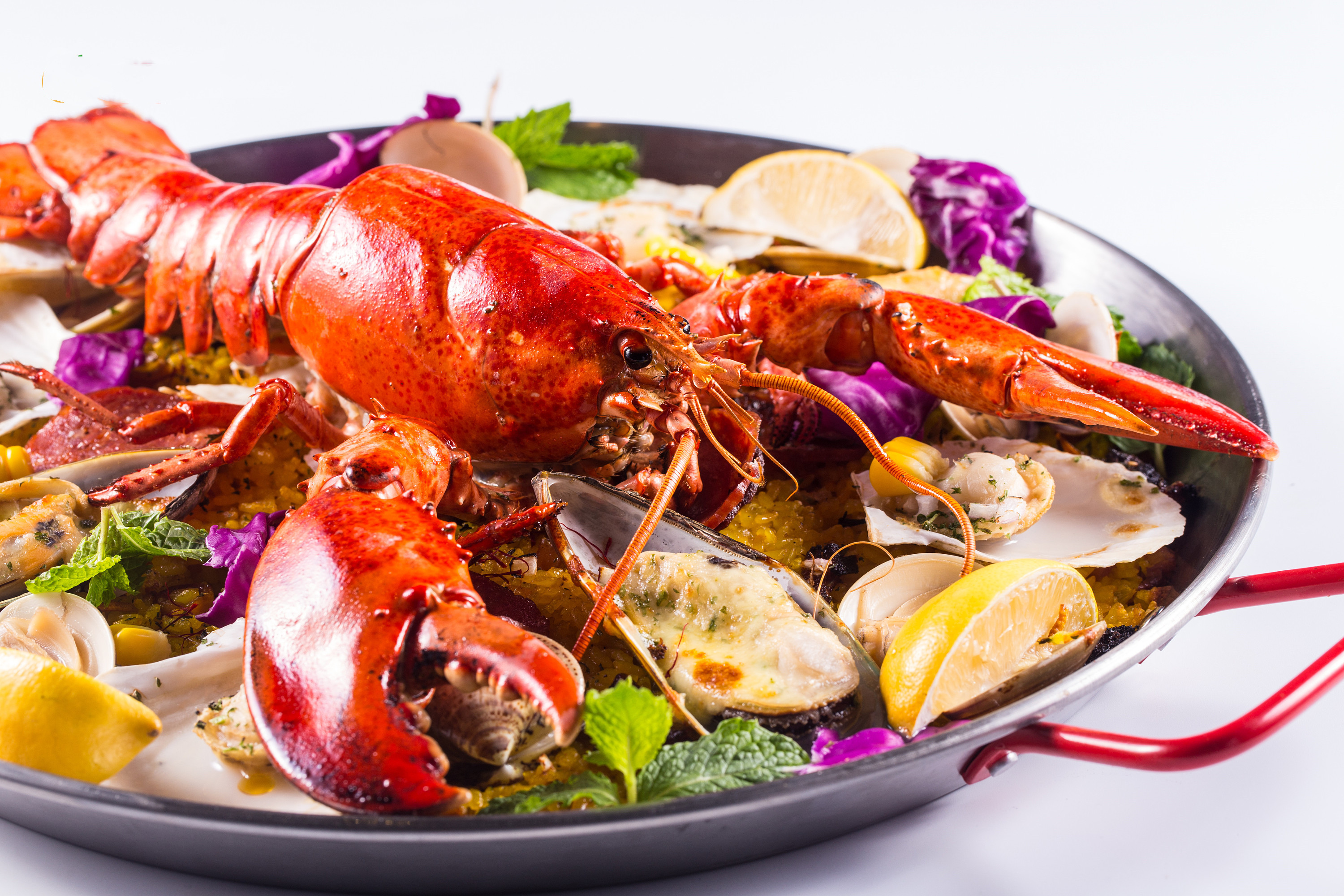 網(wǎng)站設(shè)計(jì)