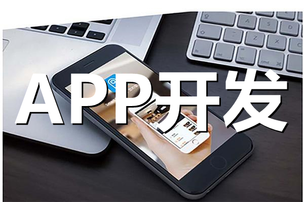 <b>APP開發(fā)關(guān)于系統(tǒng)數(shù)據(jù)庫設(shè)計有哪幾種方法？</b>