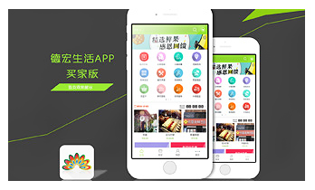 德宏生活A(yù)PP設(shè)計(jì)案例