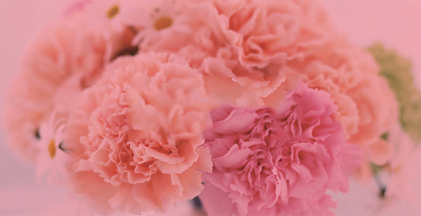 馨雅花卉行業(yè)網(wǎng)站設(shè)計(jì)案例