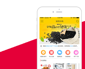 西田樂購app制作案例