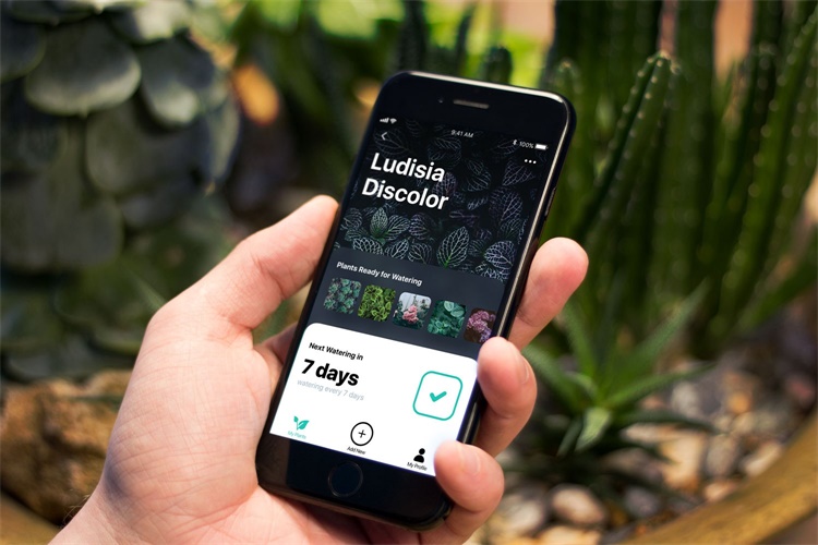 購物網站制作好之后如何優(yōu)化平臺搜索功能有講究