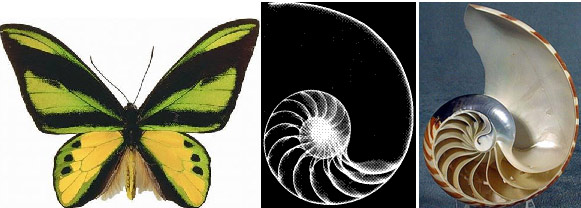 網(wǎng)站制作怎樣處理頁面重復(fù)與漸變效果？