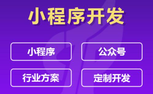 小程序定制開發(fā)的意義在哪？