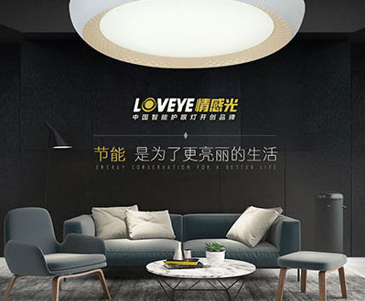 情感光燈具網(wǎng)站項(xiàng)目建設(shè)制作中