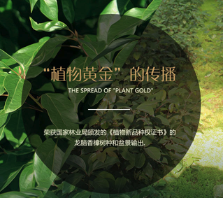 龍香御林網(wǎng)站項(xiàng)目建設(shè)制作中