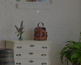 芋頭公寓網(wǎng)站項(xiàng)目建設(shè)制作中