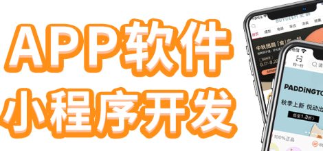 APP開發(fā)公司淺析怎么將用戶信息可視化？